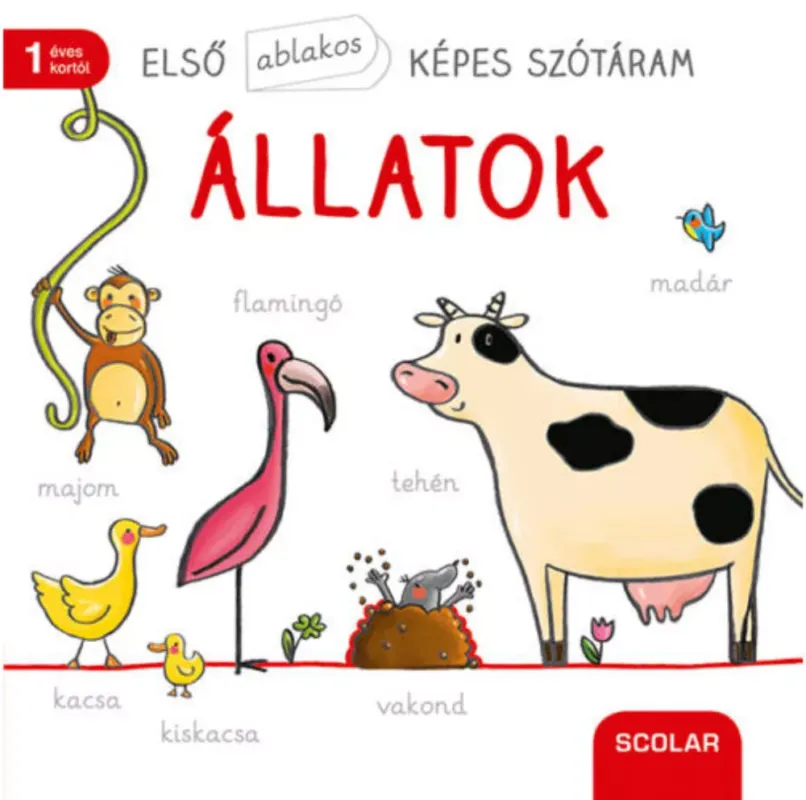 Vásárlói kedvenc Első ablakos képes szótáram - Állatok - Martina Badstuber