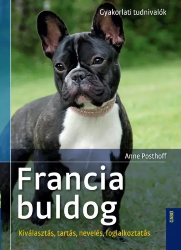 Francia bulldog - Gyakorlati tudnivalók - Kiválasztás, tartás, nevelés, foglalkoztatás Prémium