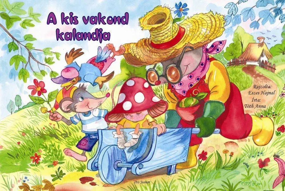 Kiárusítás A kisvakond kalandja (Tóth Anna)