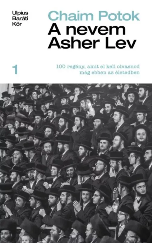 Outlet A nevem Asher Lev - 100 regény, amit el kell olvasnod még ebben az életben 1.