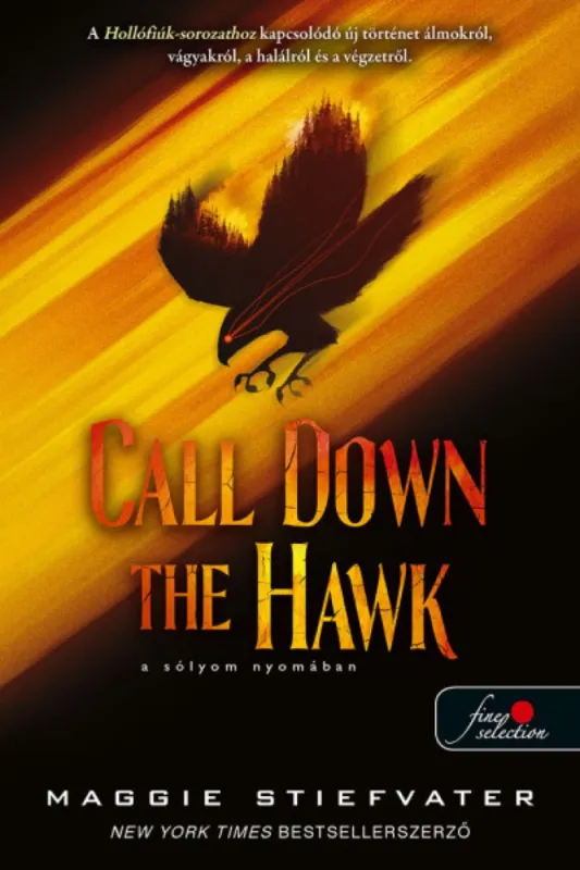 Vásárlói kedvenc Call Down the Hawk - A sólyom Nyomában - Álmodok-trilógia 1.