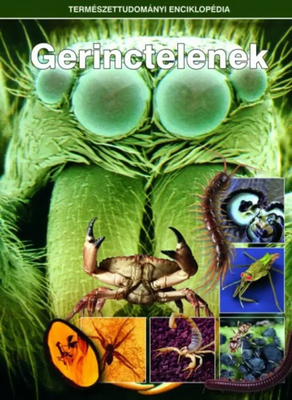 Gerinctelenek - Természettudományi enciklopédia 12. Szezonális akció