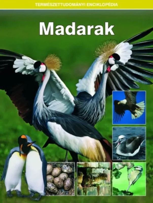Árengedmény Madarak - Természettudományi enciklopédia 5. (Válogatás)