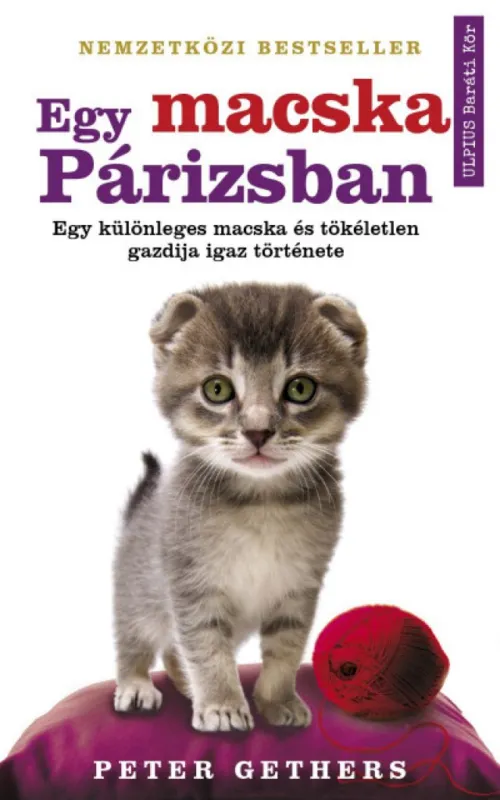 Egy macska Párizsban - Egy különleges macska, és tökéletlen gazdija igaz története Akció