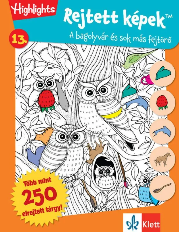 Alacsony ár Rejtett képek 13. - Bagolyvár és sok más fejtörők