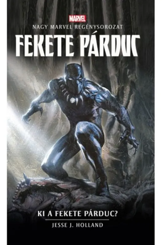 Népszerű MARVEL: Fekete Párduc - Ki a Fekete Párduc?