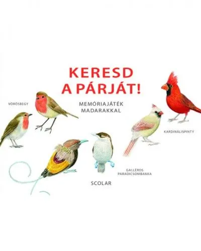Keresd a párját! – Memóriajáték madarakkal Kiárusítás