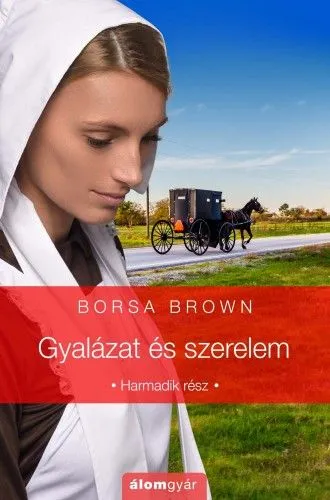 Gyalázat és szerelem - Gyalázat sorozat 3. Végkiárusítás