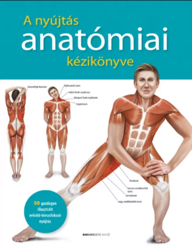 Alacsony ár A nyújtás anatómiai kézikönyve - Lachlan McLaine