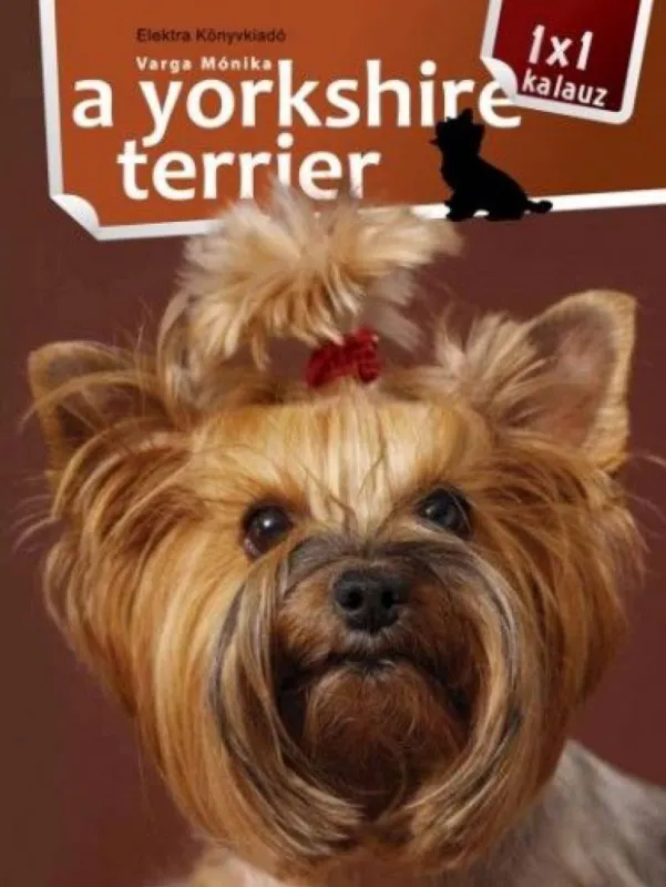 Alacsony ár A yorkshire terrier
