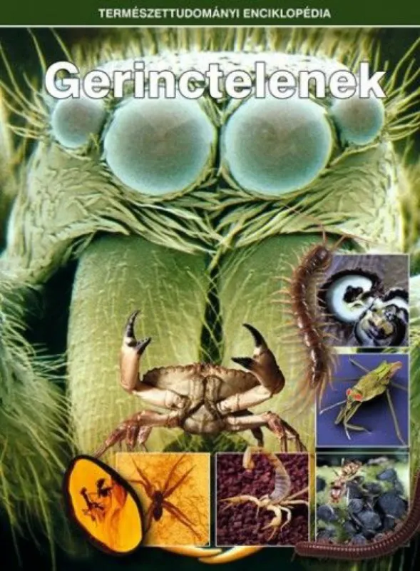 Gerinctelenek - Természettudományi enciklopédia 12. Alacsony ár