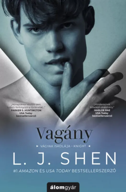Kihagyhatatlan ajánlat Vagány - L. J. Shen