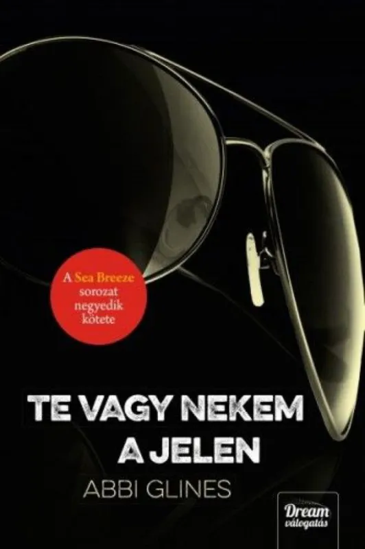 Te vagy nekem a jelen - A Sea Breeze sorozat 4. kötete Olcsóbb