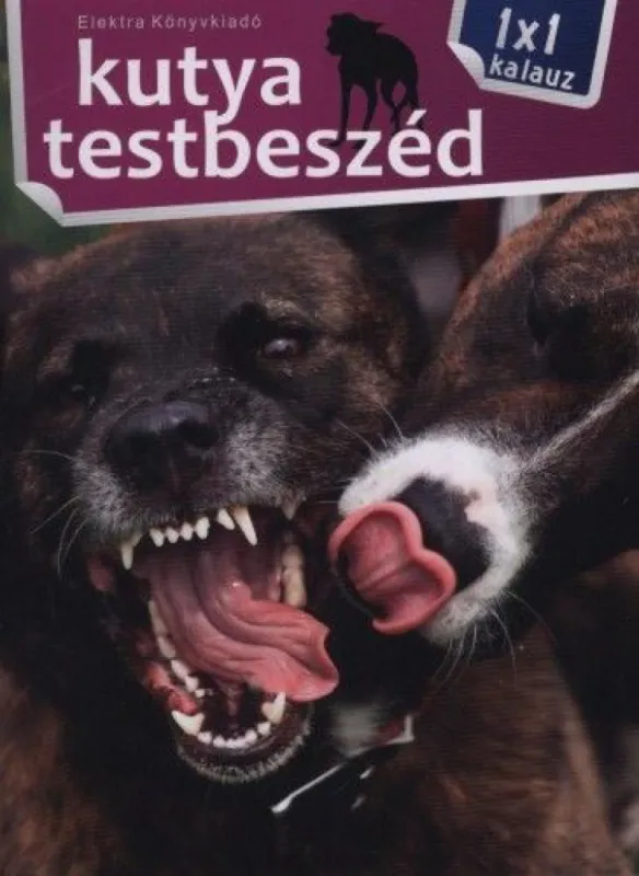 Árcsökkenés Kutya testbeszéd