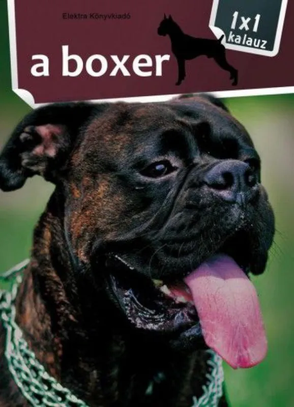 Azonnali szállítás A boxer