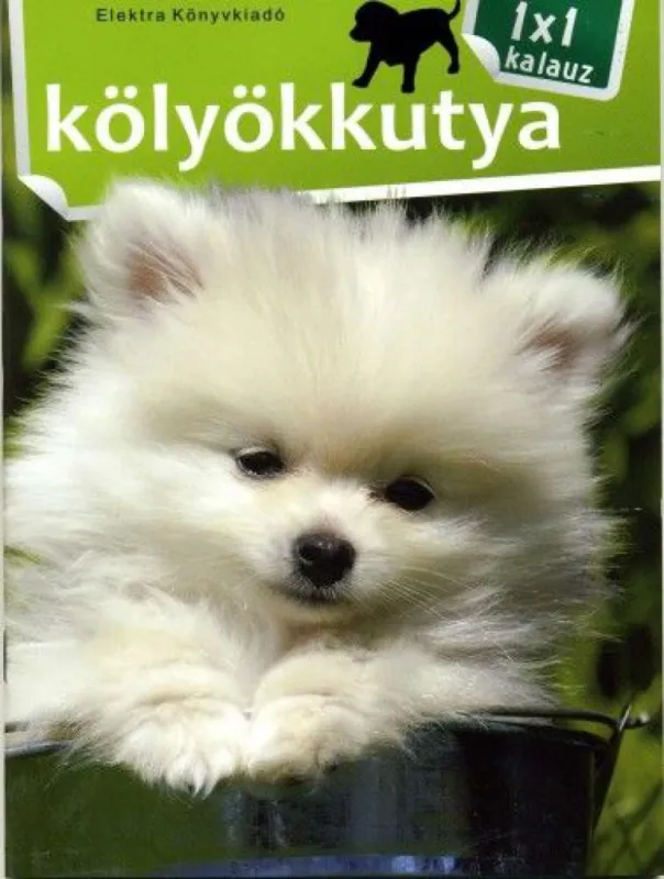 1x1 Kölyökkutya Kiárusítás