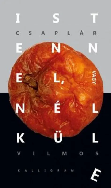 Prémium Istennel, vagy nélküle - Gondolatok a reflektív evolúcióról