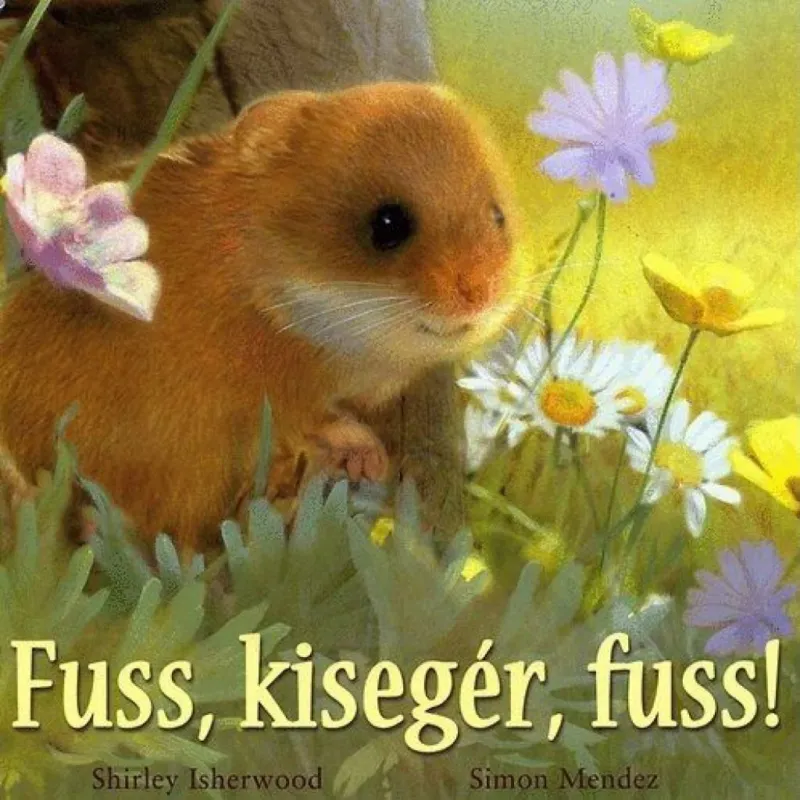 Újdonság Fuss, kisegér, fuss!