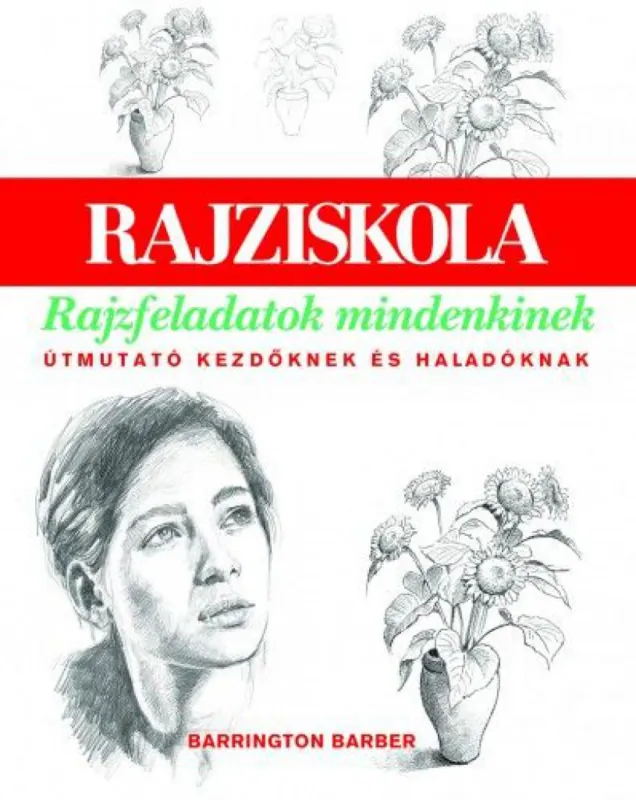 Biztonságos fizetés Rajzfeladatok mindenkinek - Útmutató kezdőknek és haladóknak