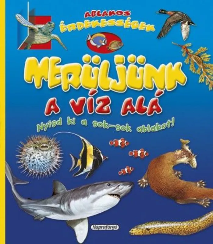 Vásárlói kedvenc Ablakos érdekességek - Merüljünk a víz alá!