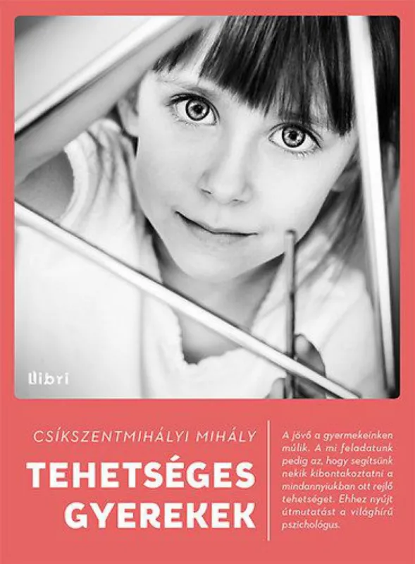 Ajánlat Tehetséges gyerekek - Flow az iskolában