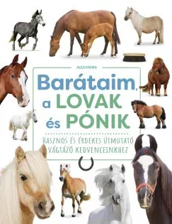 Barátaim, a lovak és pónik Legkelendőbb