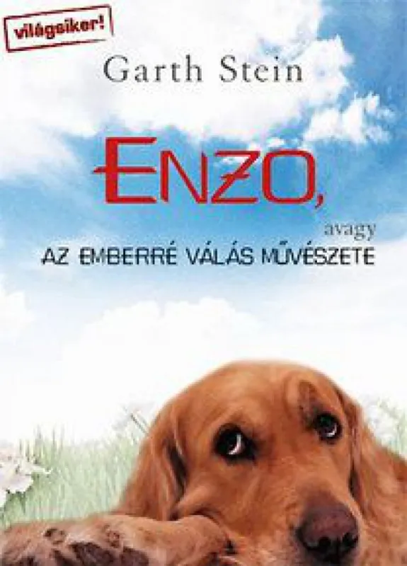 Enzo, avagy az emberré válás művészete Utolsó esély