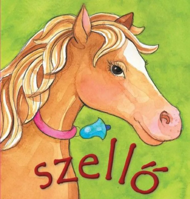 Szezonális akció Szellő - Színes szivacskönyv