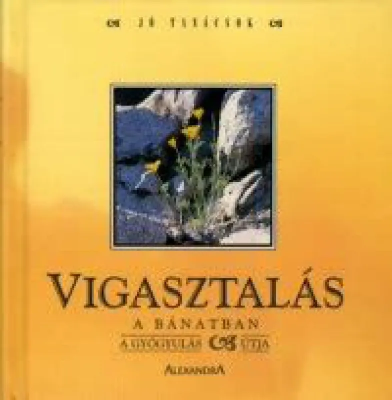 Prémium Vigasztalás a bánatban - A gyógyulás útja