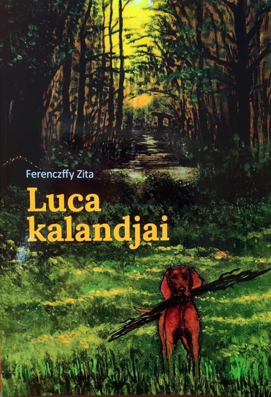Bestseller Luca kalandjai - Ferenczffy Zita