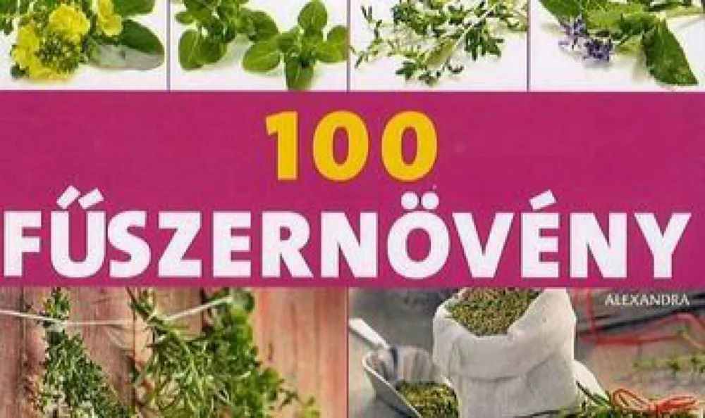 Exkluzív ajánlat 100 fűszernövény - 50 kártya praktikus dobozban