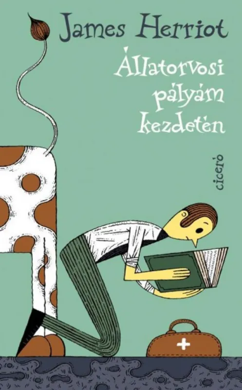 Utolsó esély Állatorvosi pályám kezdetén