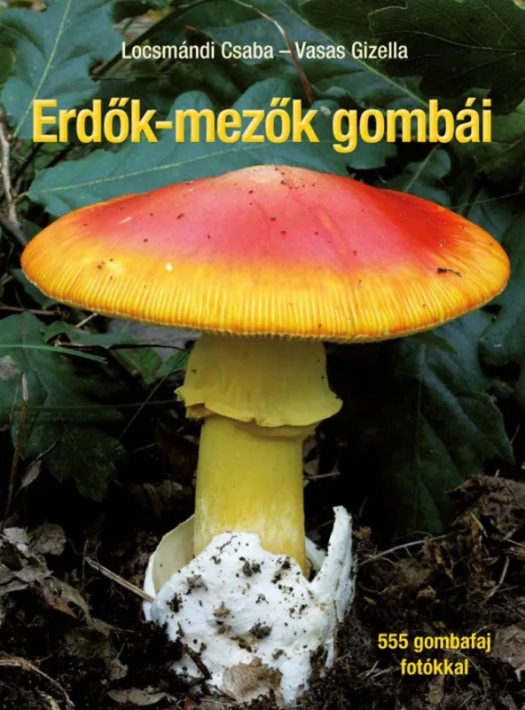Akciós ár Erdők-mezők gombái - Javított utánnyomás