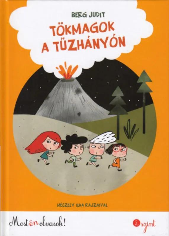 Tökmagok a tűzhányón Rendeld meg most