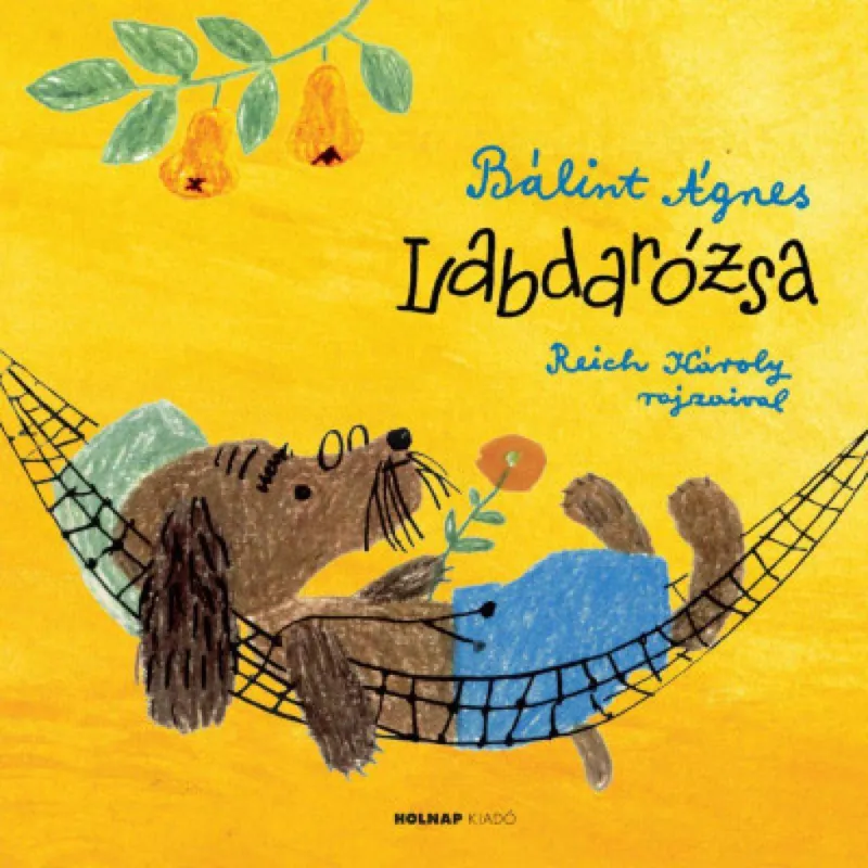 Labdarózsa Legjobb ár