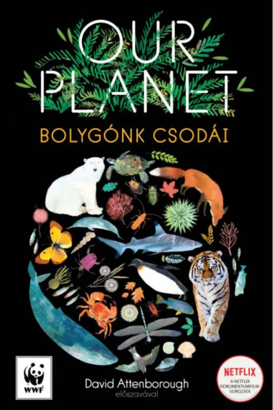 Újdonság Our Planet - Bolygónk csodái