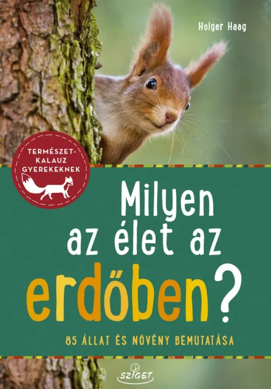 Milyen az élet az erdőben? - 85 állat és növény bemutatása Expressz szállítás