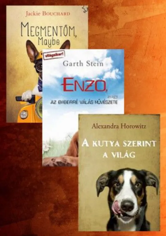 Kutyás csomag Árcsökkenés