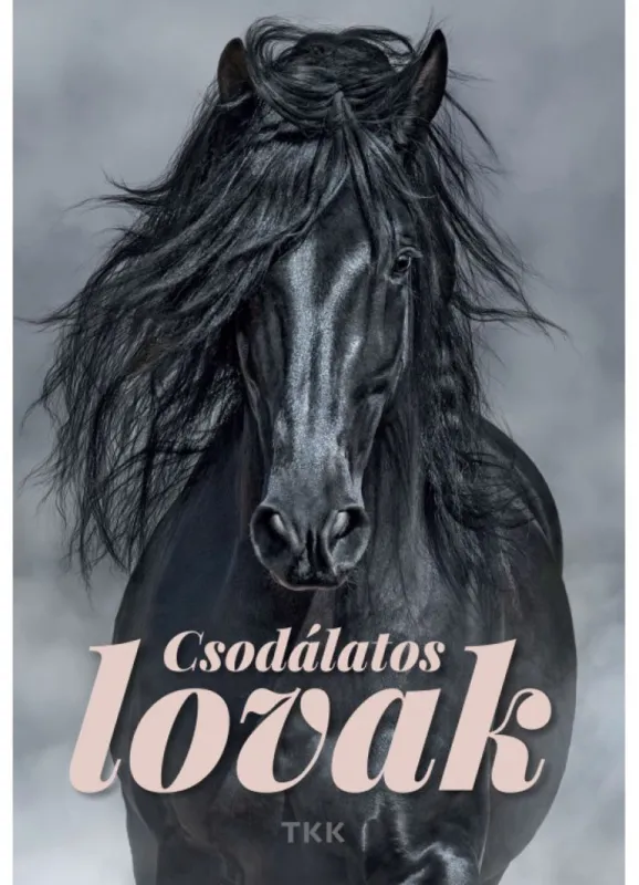Csodálatos lovak Prémium