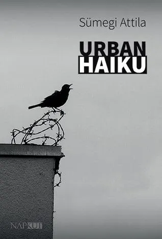 Outlet URBAN HAIKU