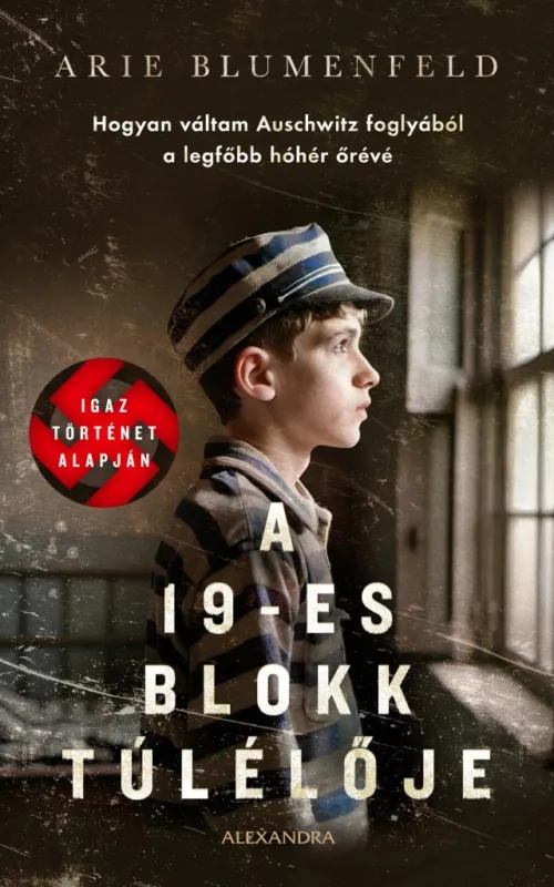 Nézd meg most A 19-ES BLOKK TÚLÉLŐJE