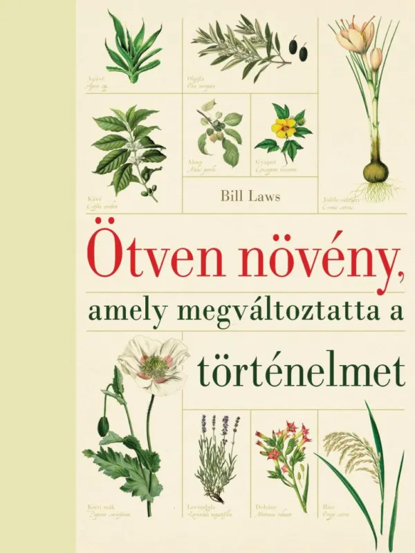 Biztonságos fizetés ÖTVEN NÖVÉNY, AMELY MEGVÁLTOZTATTA A TÖRTÉNELMET