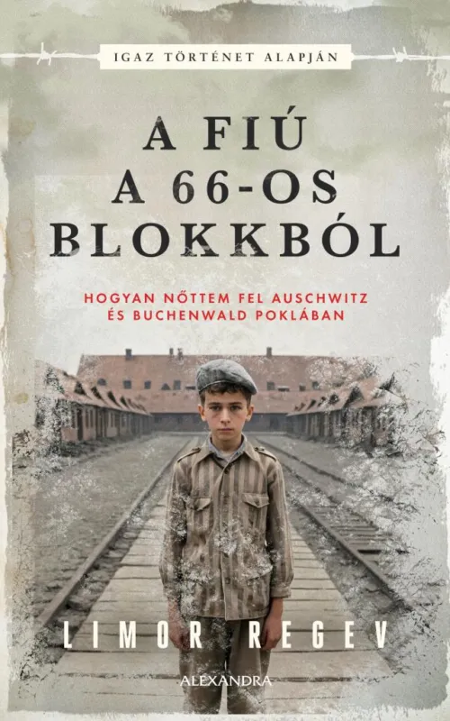 Népszerű A FIÚ A 66-OS BLOKKBÓL