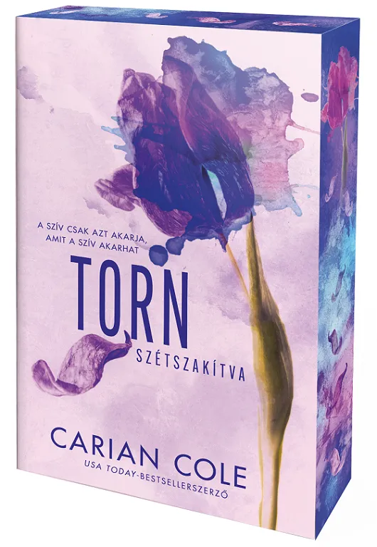 Torn – Szétszakítva - Éldekorált kiadás Outlet