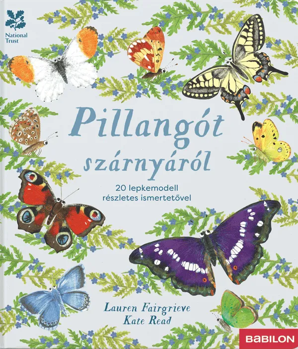Különleges ajánlat Pillangót szárnyáról – 20 lepkemodell részletes ismertetővel