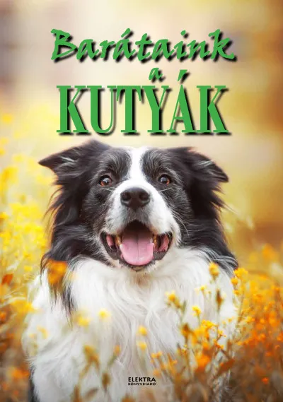 Barátaink a kutyák Korlátozott ajánlat