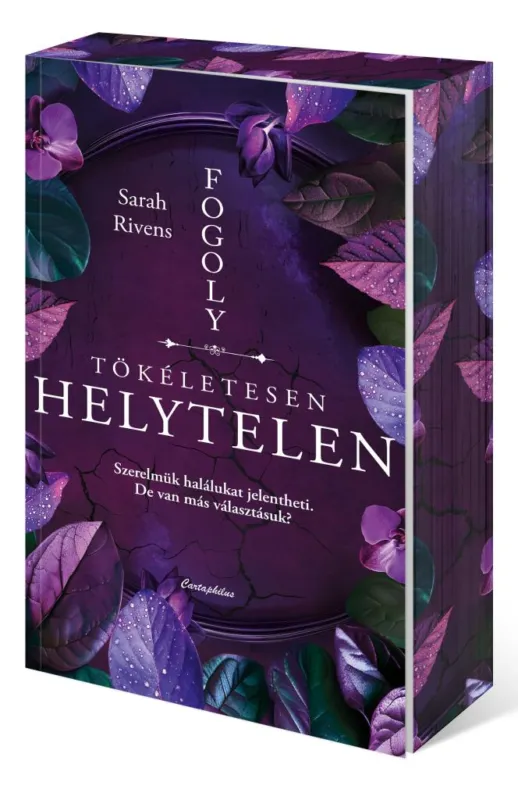 Akciós ár Tökéletesen helytelen - Éldekorált kiadás