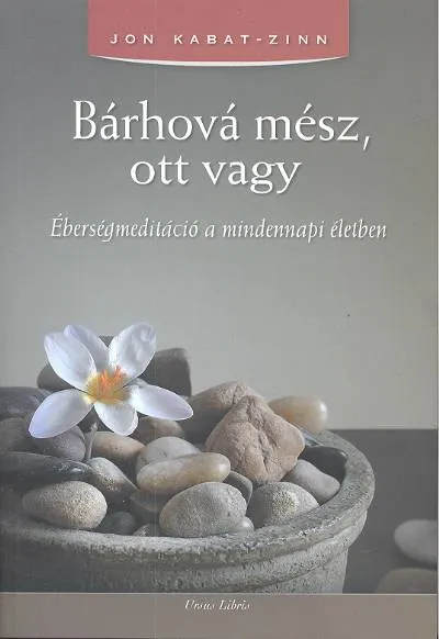 Bárhová mész, ott vagy /Éberségmeditáció a mindennapi életben Ajánlat