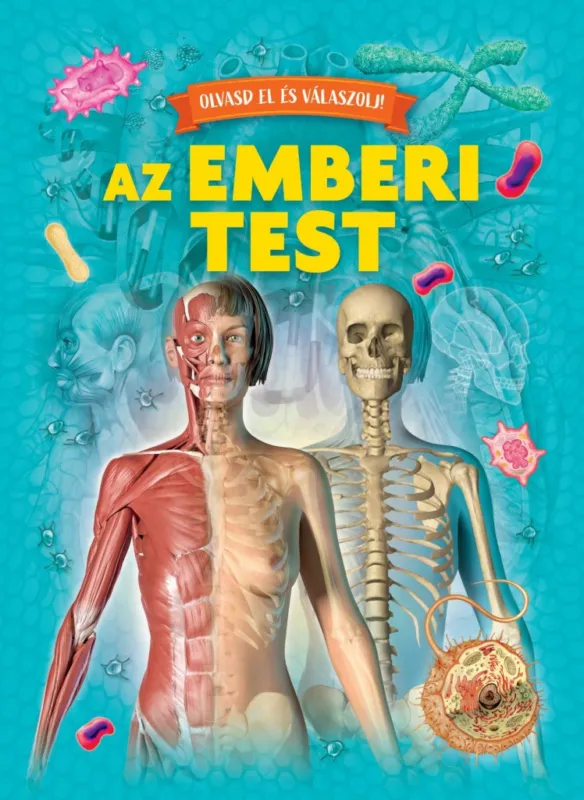 Árengedmény Olvasd el és válaszolj! - Az emberi test