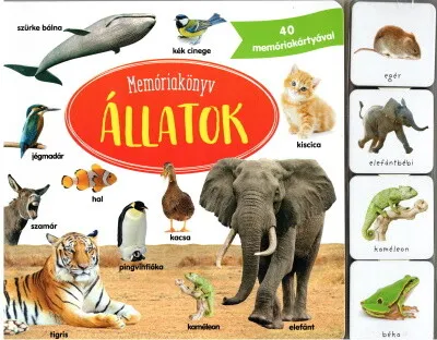 Outlet Memóriakönyv: Állatok - 40 memóriakártyával
